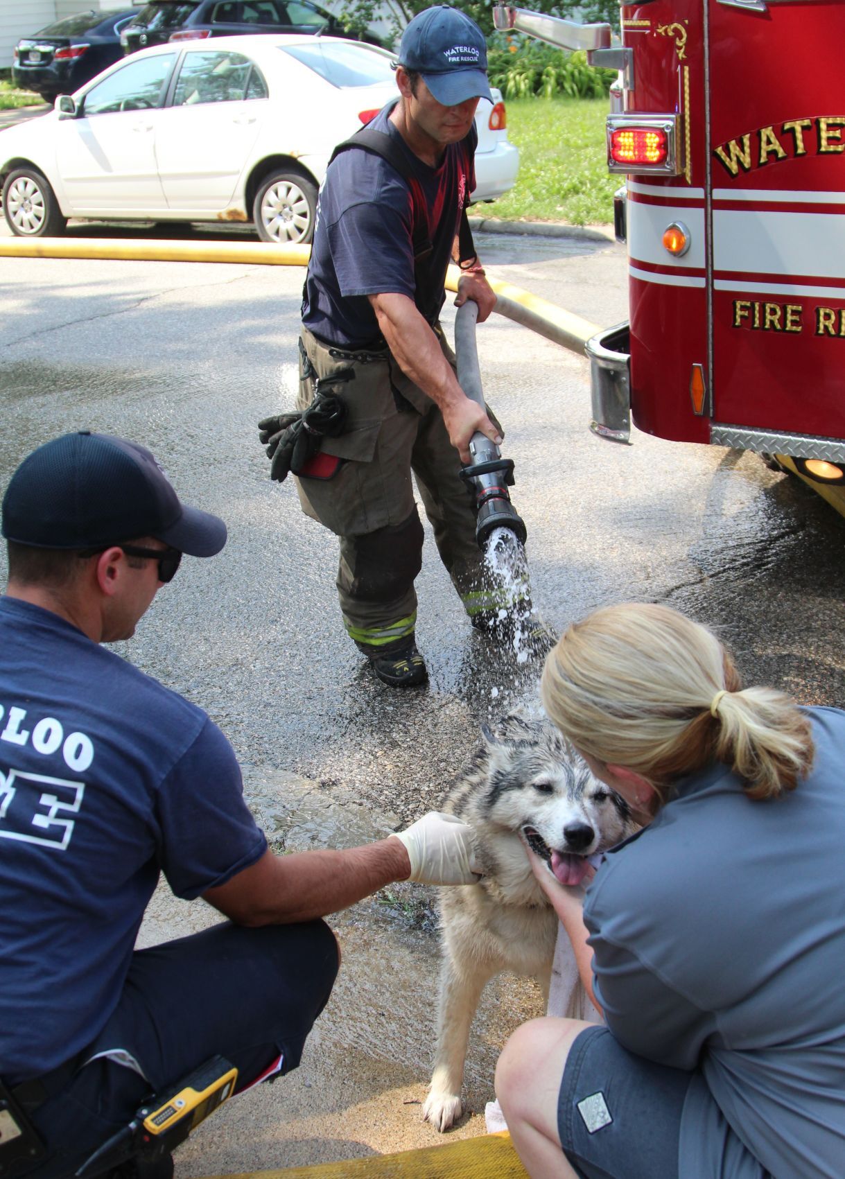 070521jr-fire-dog-2